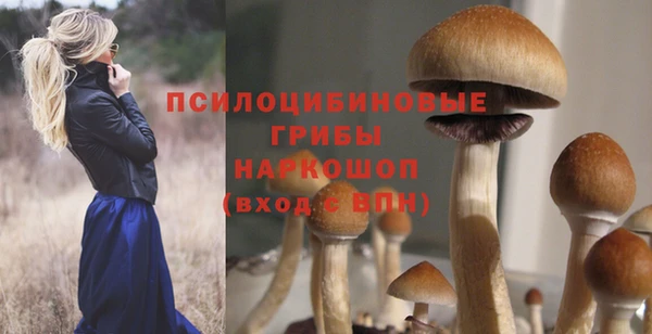 каннабис Корсаков