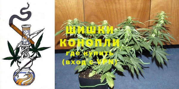 каннабис Корсаков