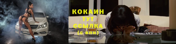 каннабис Корсаков