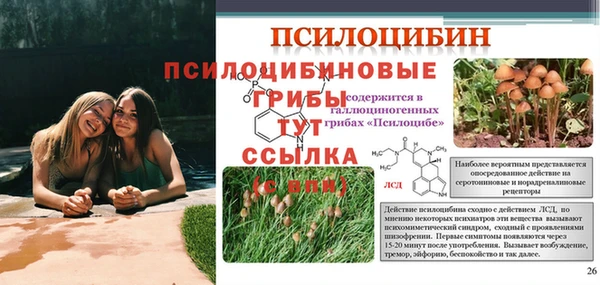 спиды Костерёво