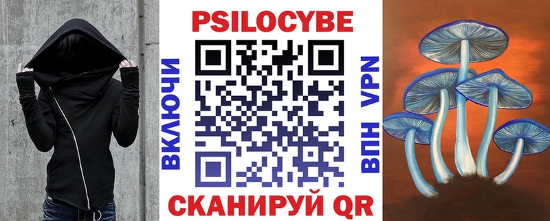 Купить где  Староминская  Псилоцибиновые грибы Cubensis 